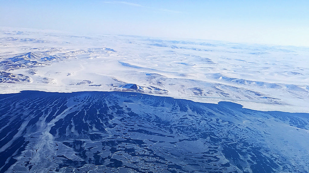 Coffee, Sand Dunes, and Polar Bears - Oh My!