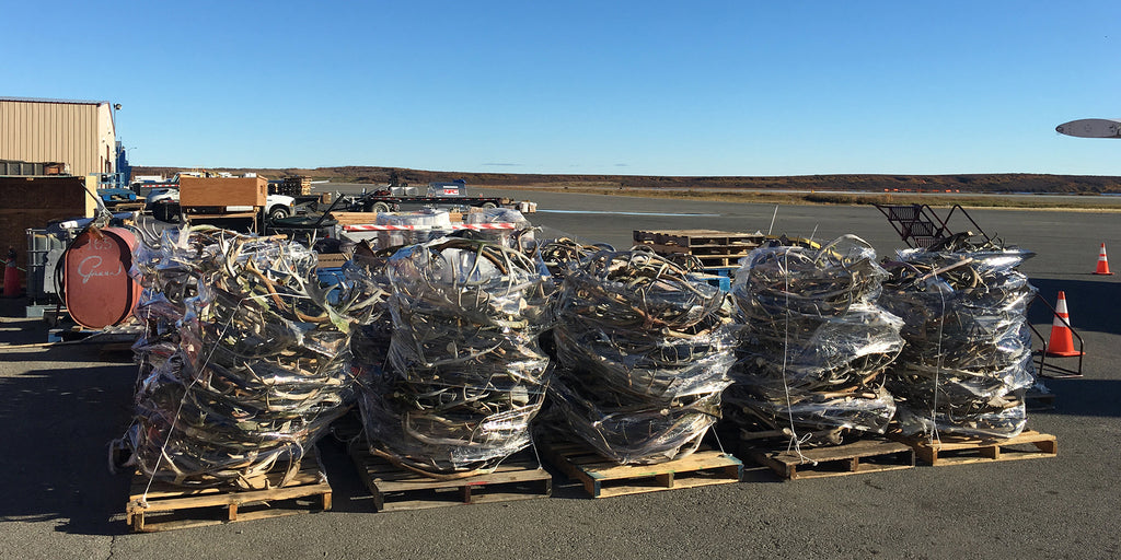 What Would You Do With Thousands Of Antlers?